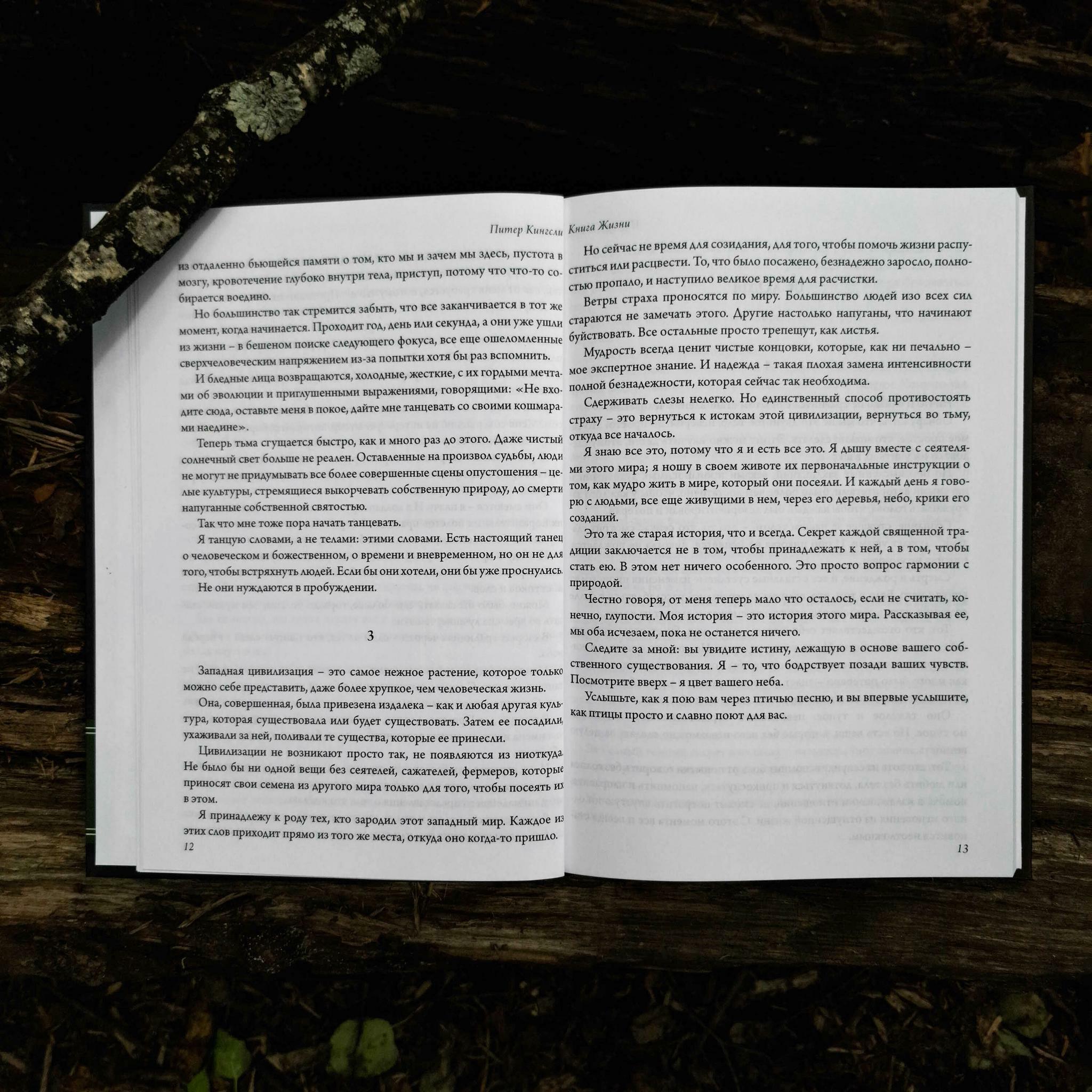 Книга жизни | Питер Кингсли
