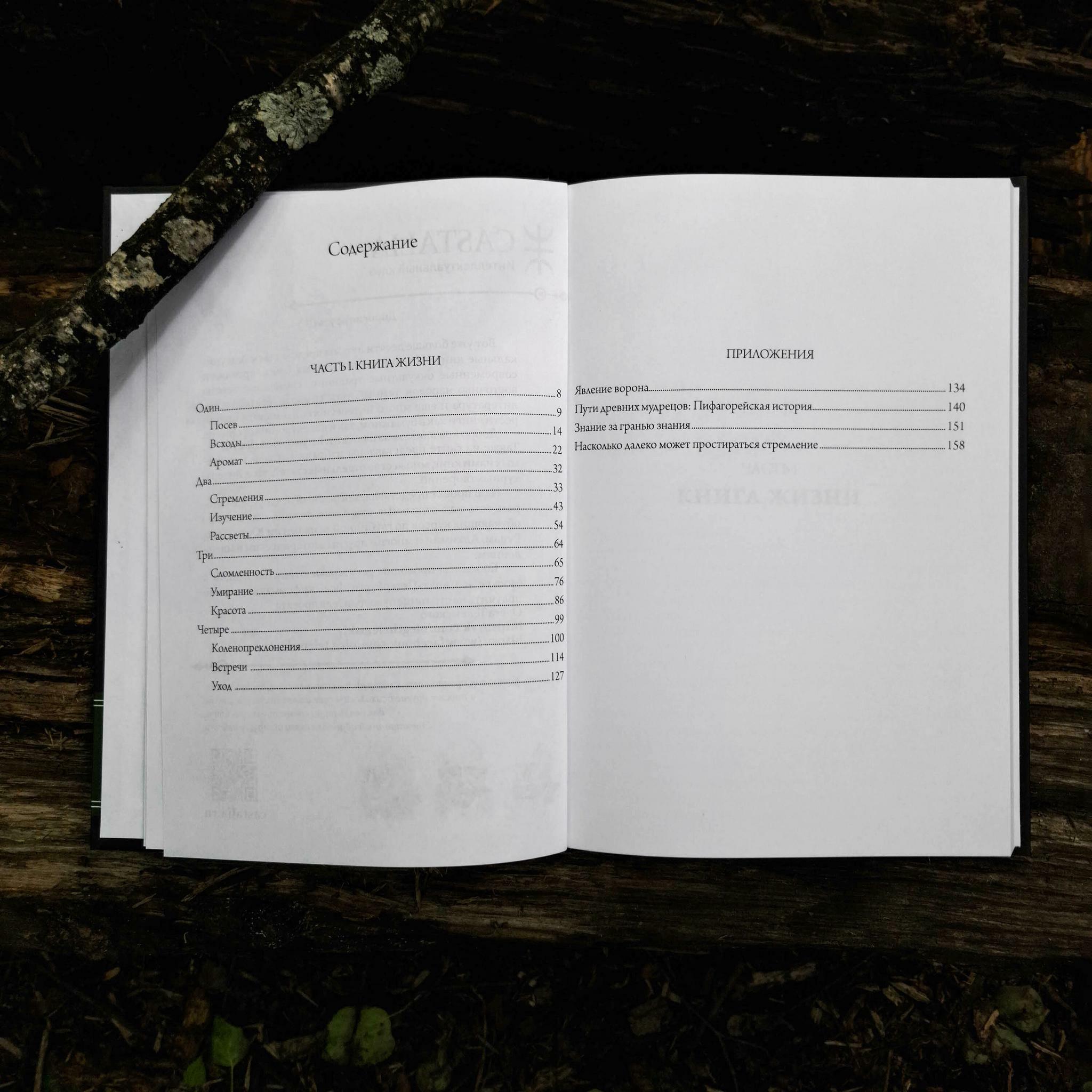 Книга жизни | Питер Кингсли