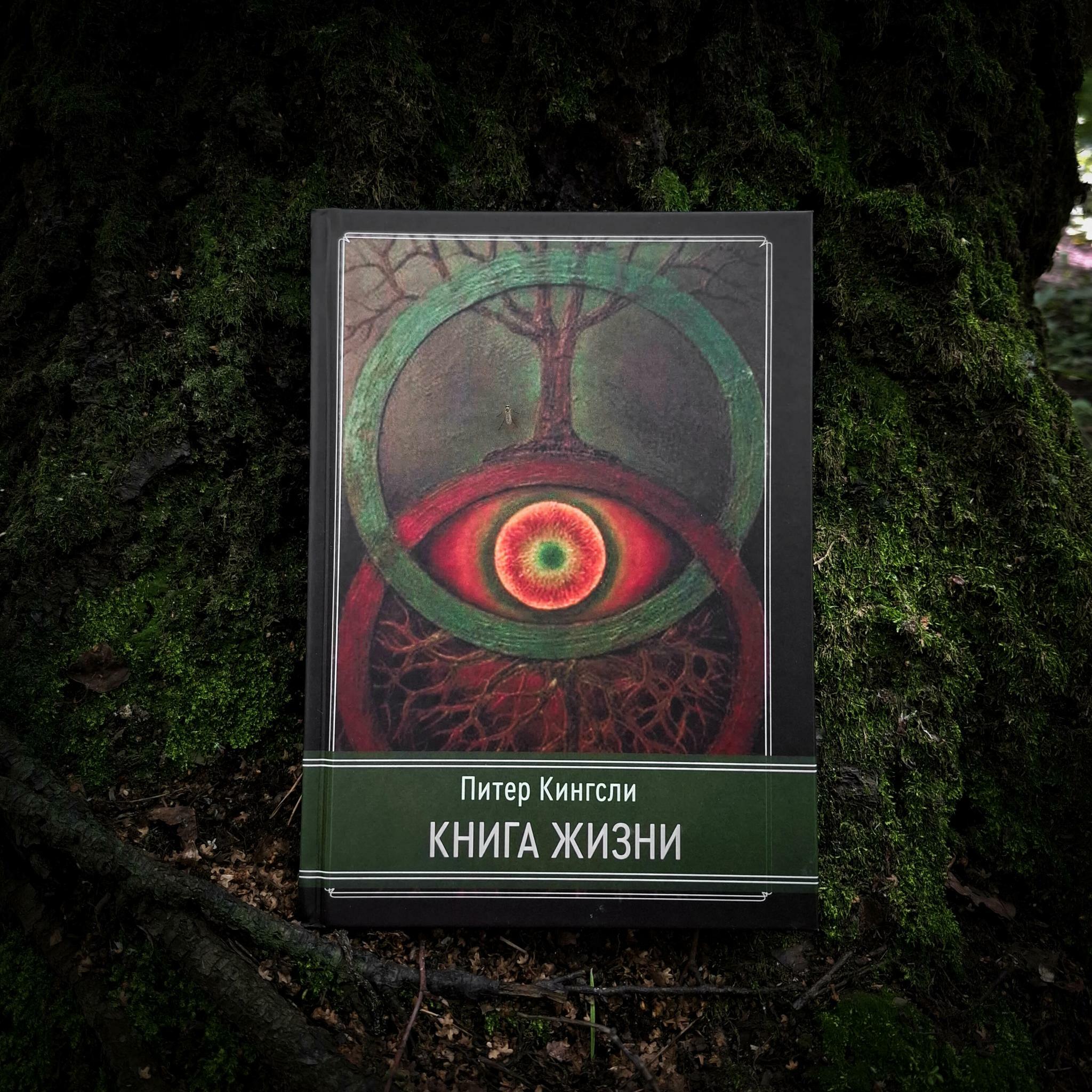 Книга жизни | Питер Кингсли