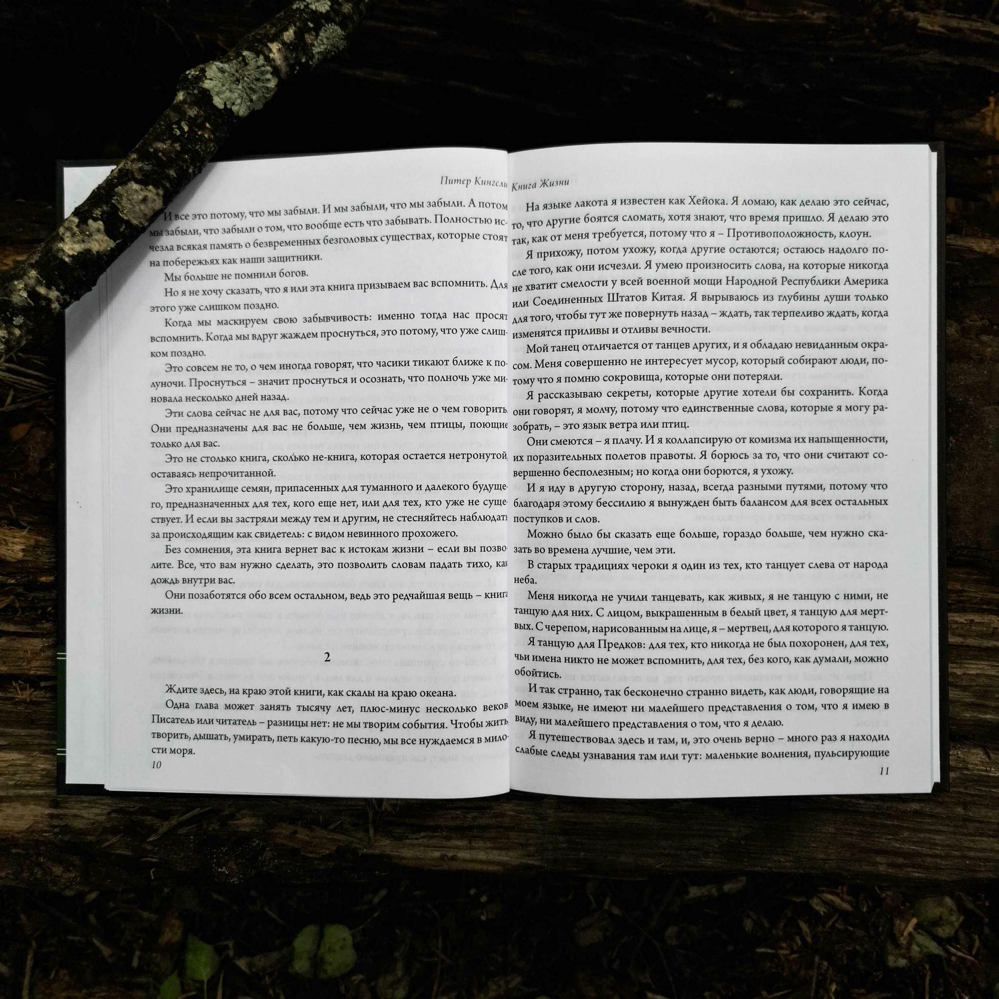 Книга жизни | Питер Кингсли