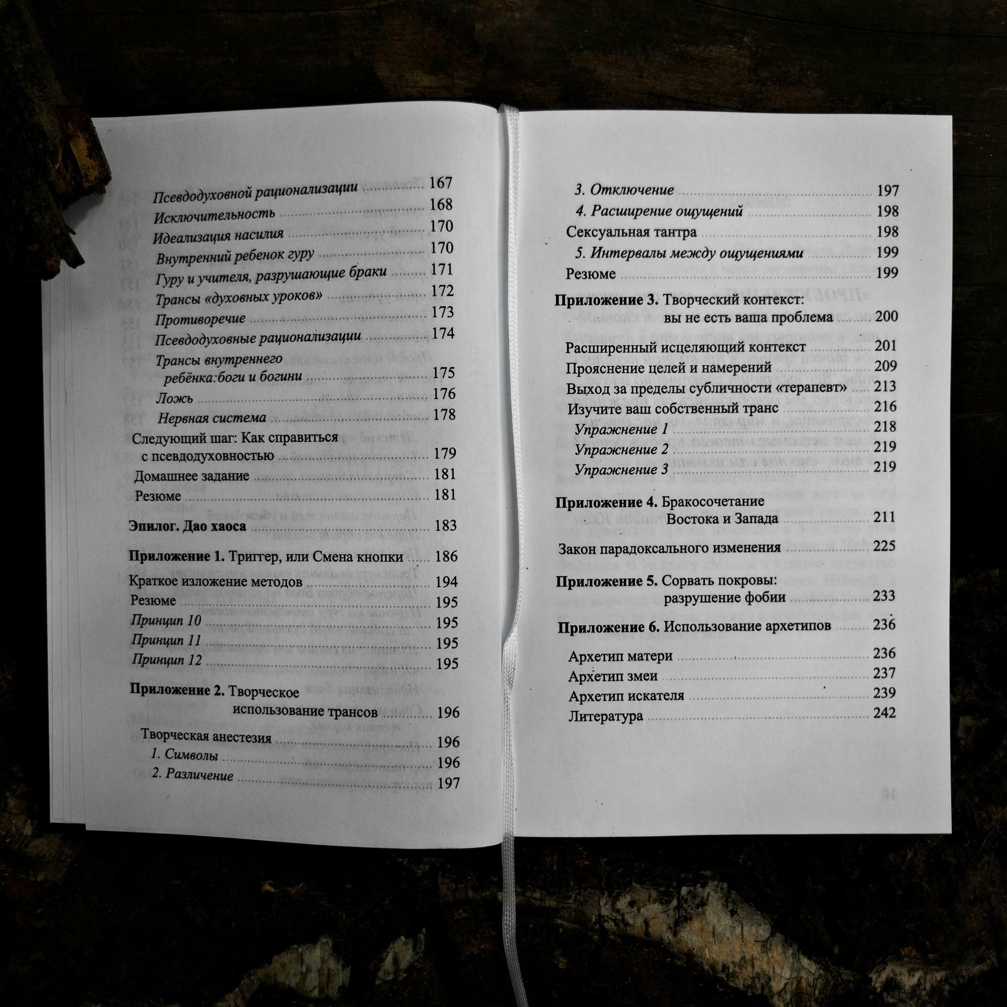 Тёмная сторона внутреннего ребёнка: следующий шаг | Стивен Волински