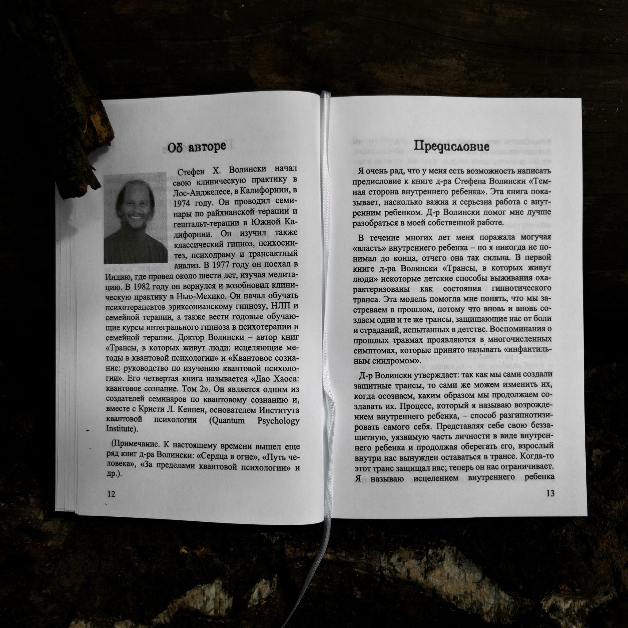 Тёмная сторона внутреннего ребёнка: следующий шаг | Стивен Волински