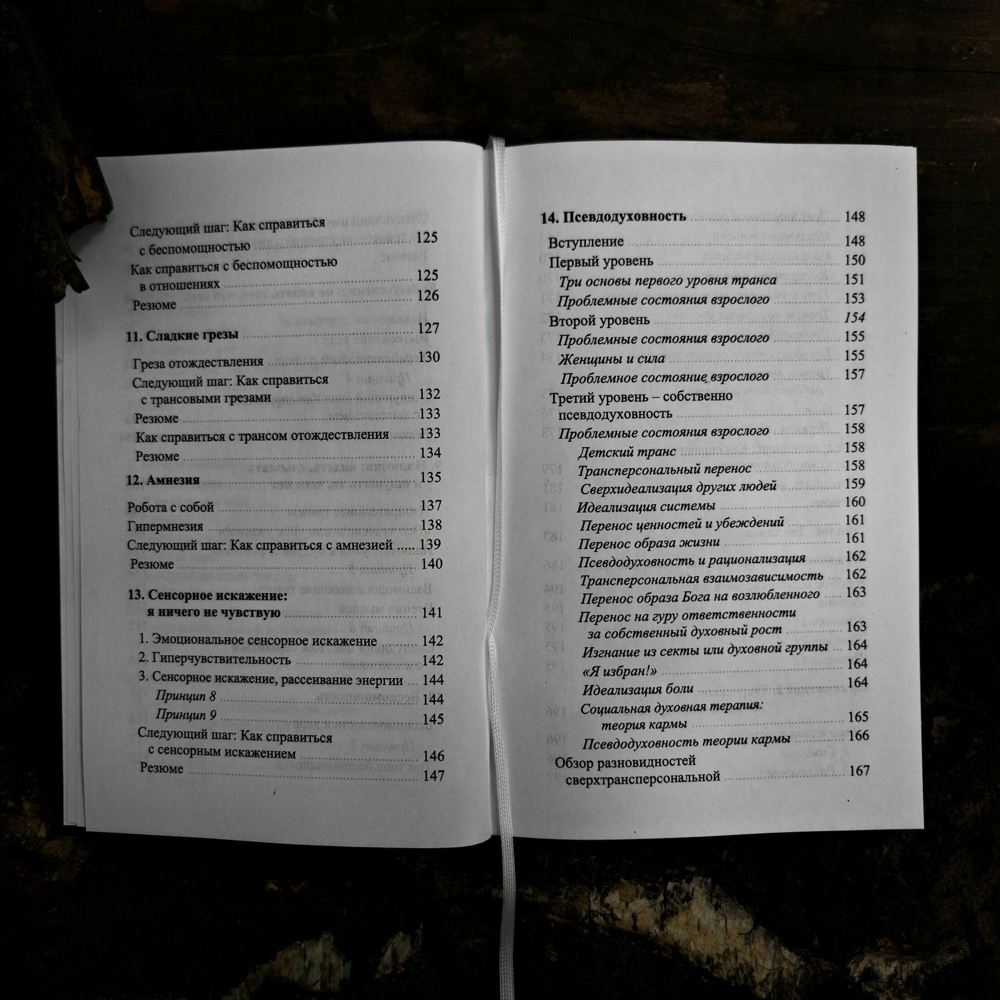 Тёмная сторона внутреннего ребёнка: следующий шаг | Стивен Волински