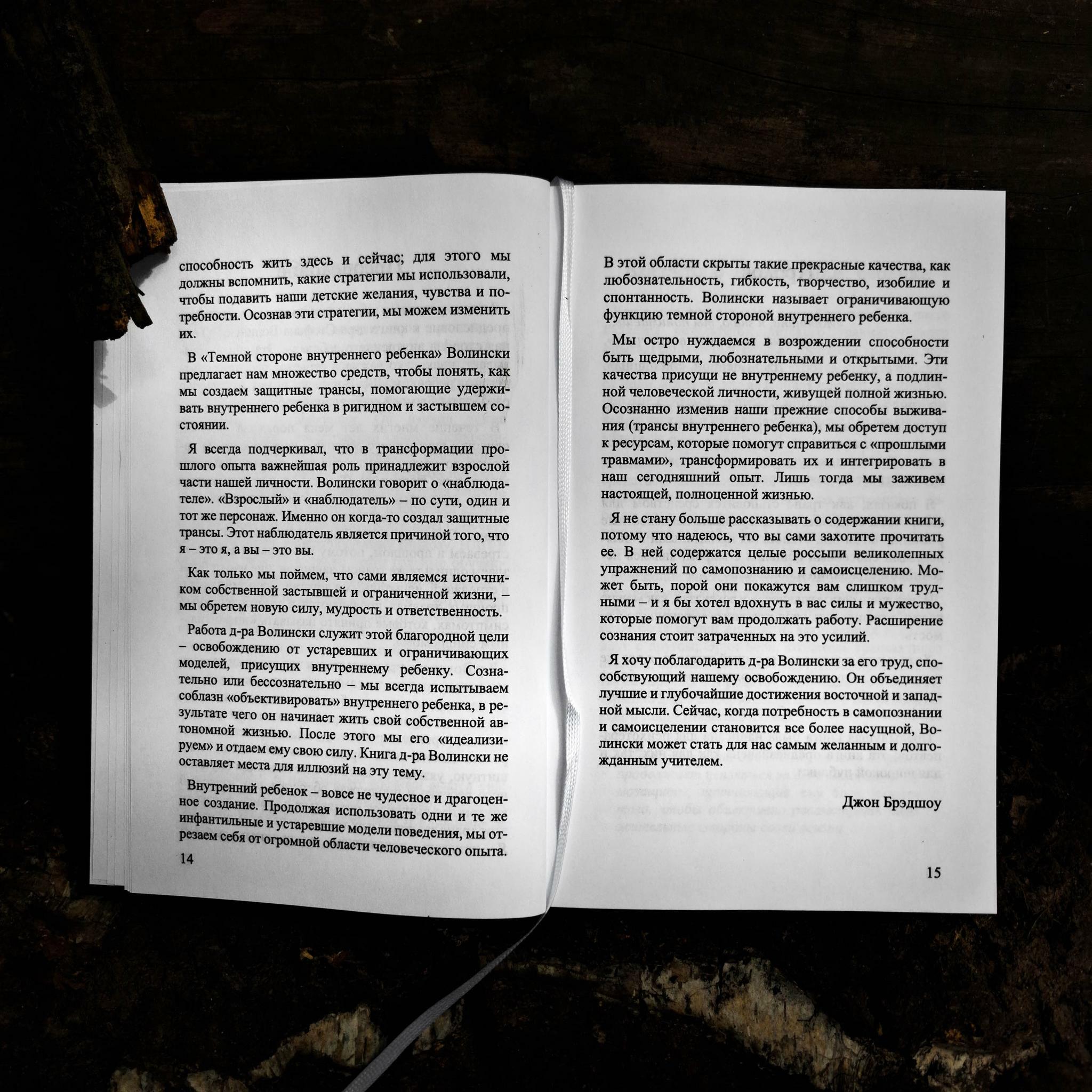 Тёмная сторона внутреннего ребёнка: следующий шаг | Стивен Волински