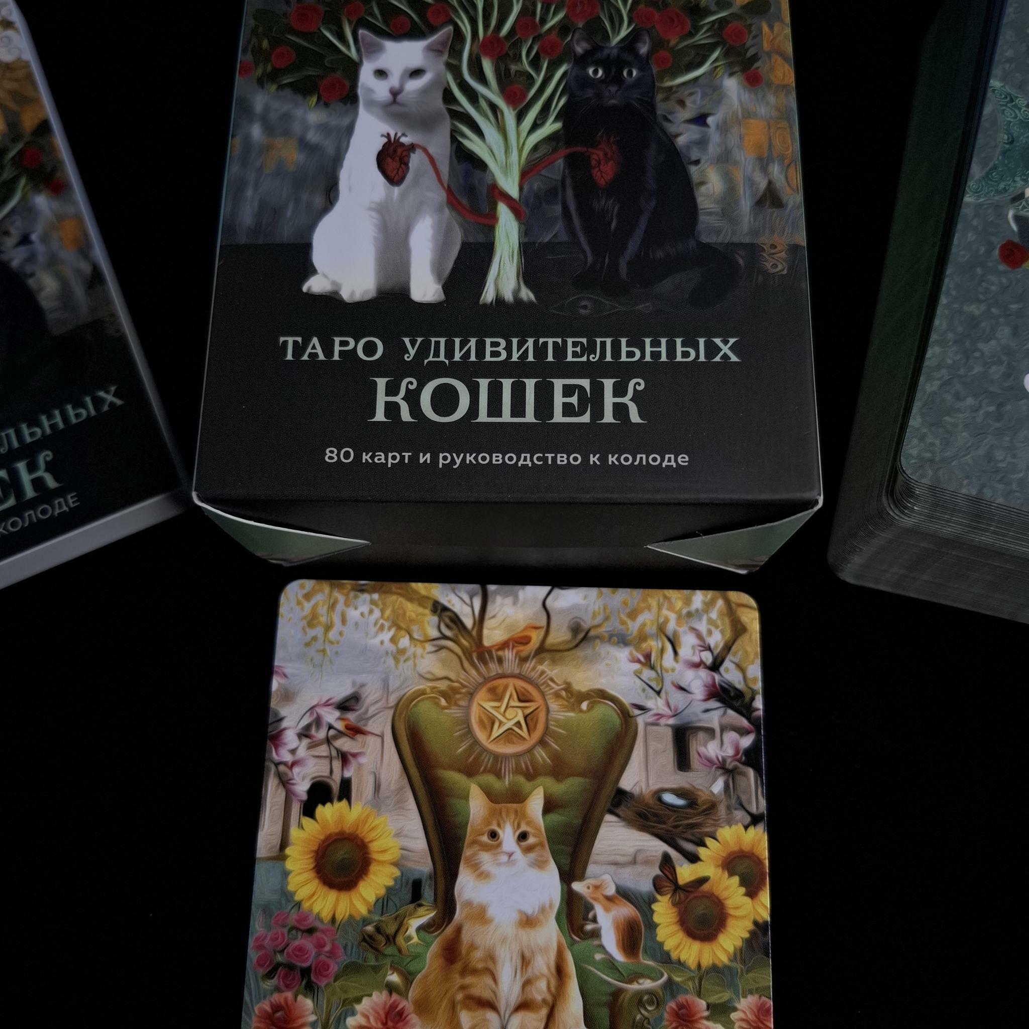 Таро Удивительных Кошек
