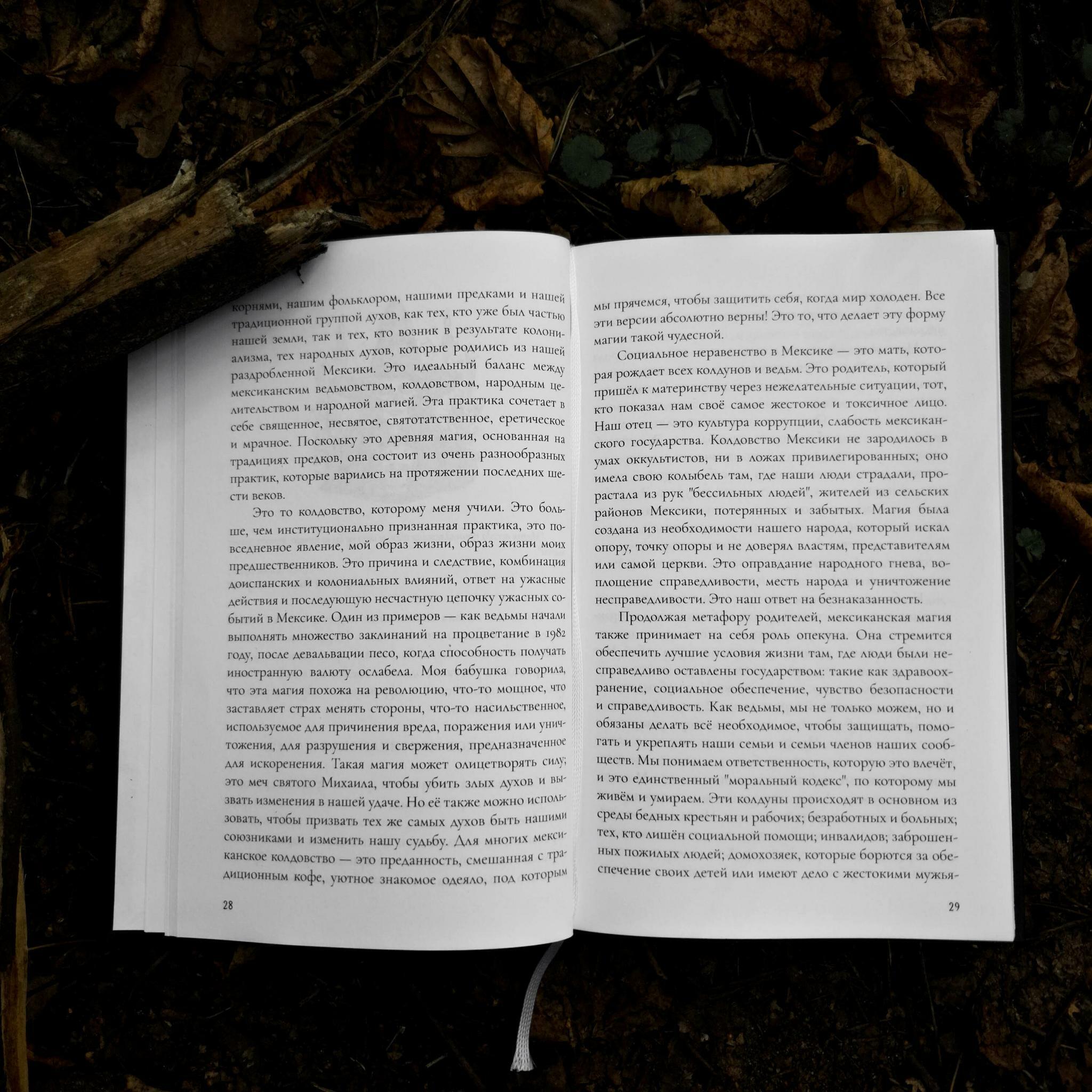 Книга Брухо. Мексиканская магия | Лаура Давила