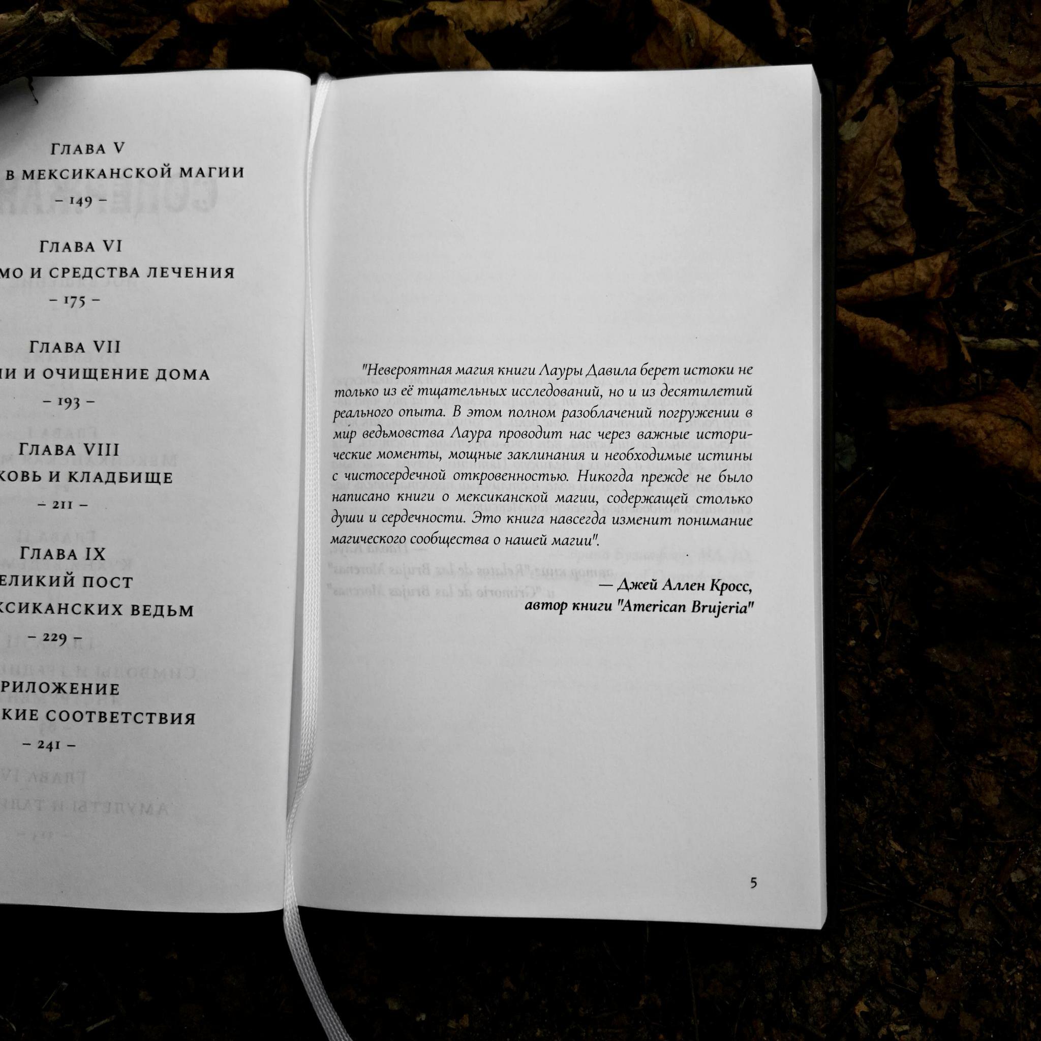 Книга Брухо. Мексиканская магия | Лаура Давила