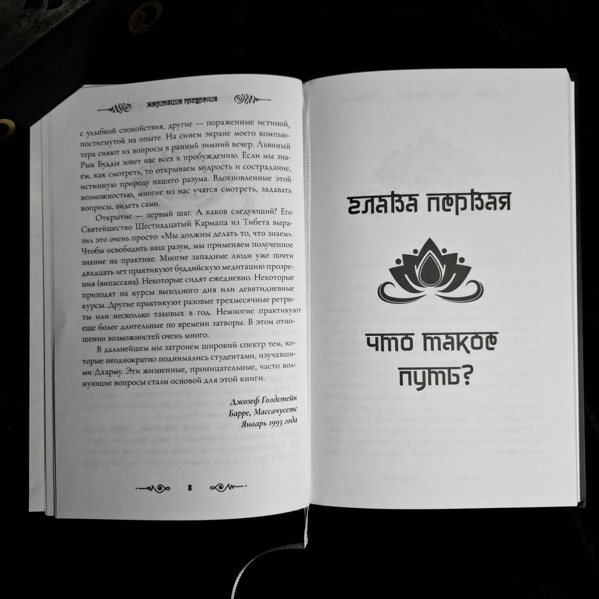 Медитация прозрения. Практика Освобождения | Джозеф Голдстейн