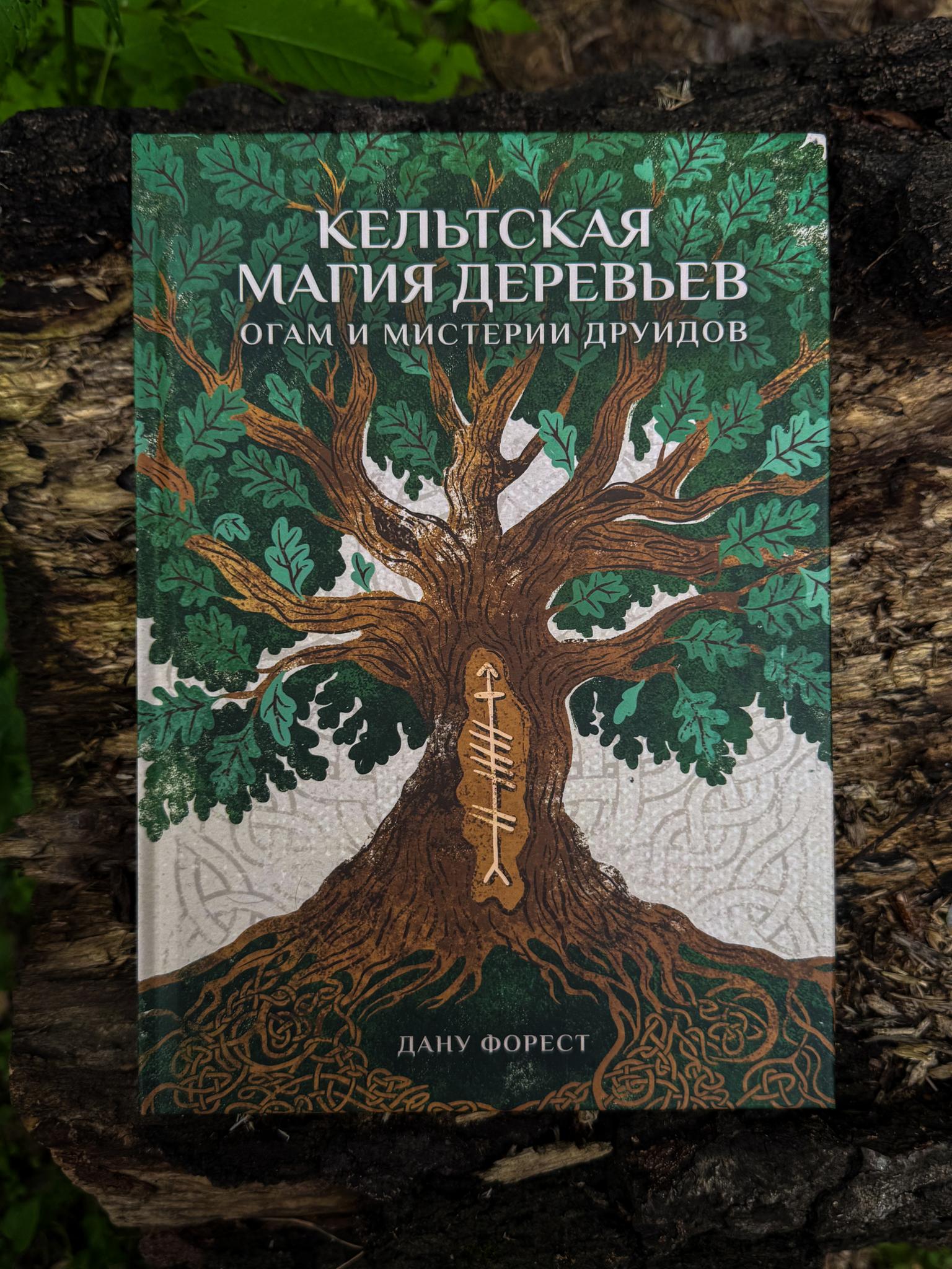 Кельтская магия деревьев: огам и мистерии друидов | Дану Форест