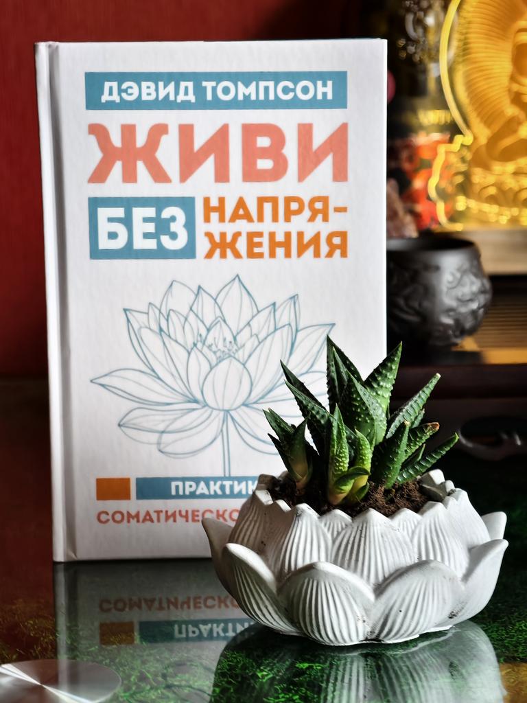 Живи без напряжения | Дэвид Томпсон