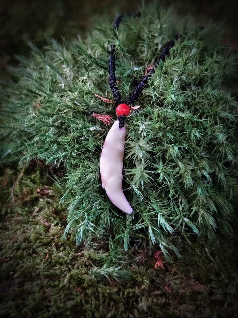 Клык волка с красной буисной - подвеска