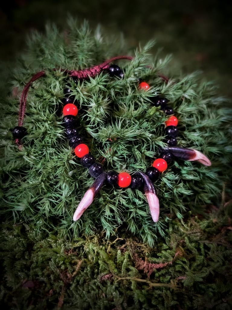 Браслет с клыками волка и красными бусинами