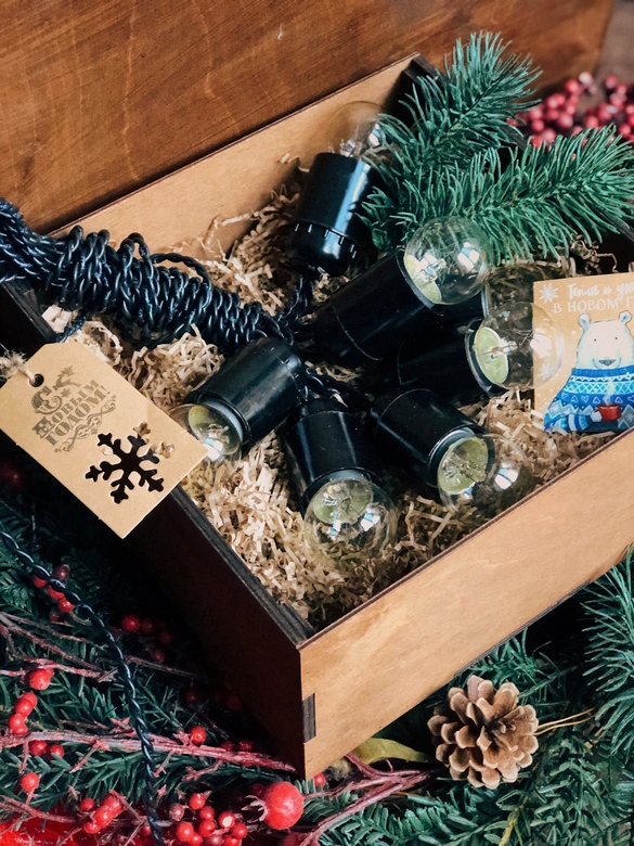 Эдисон бокс