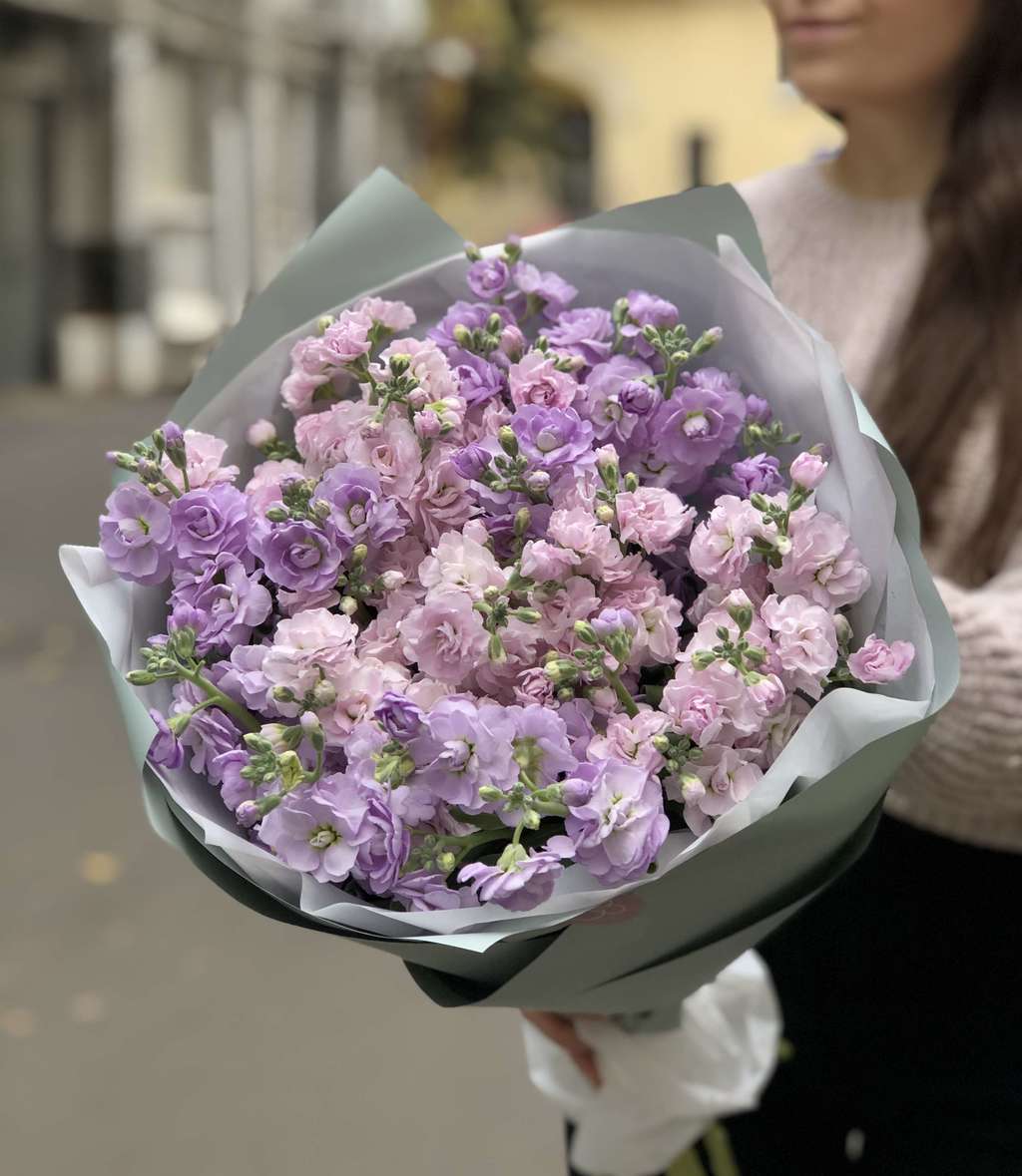 Маттиола кустовая ароматная