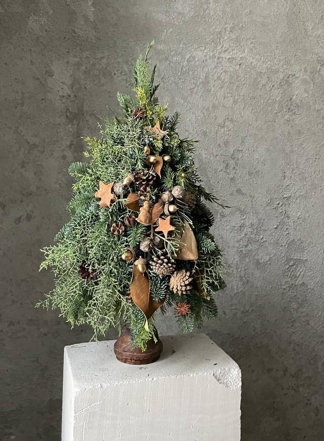 Елочка лесная