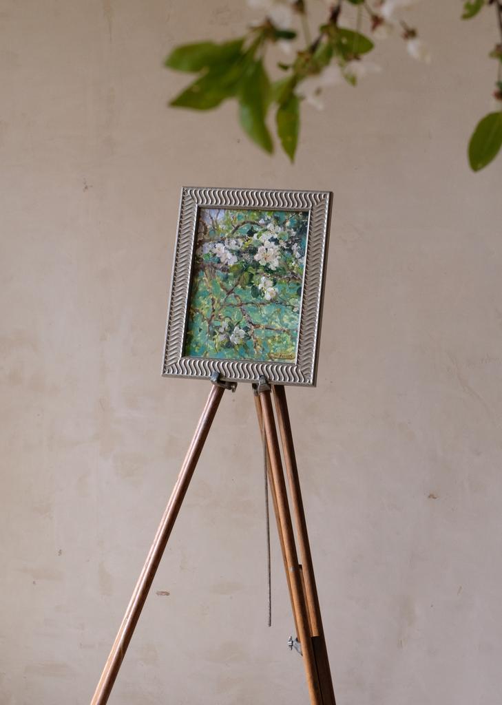 A study with flowering branches of an apple tree