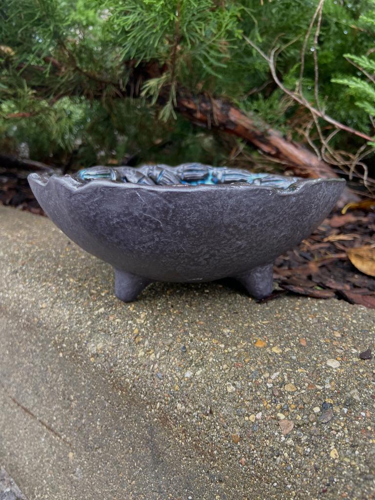 Блюдо с жуками