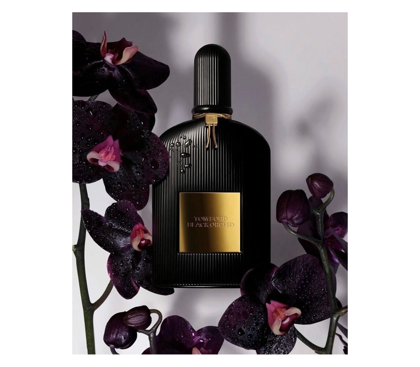 Black Orchid Tom Ford