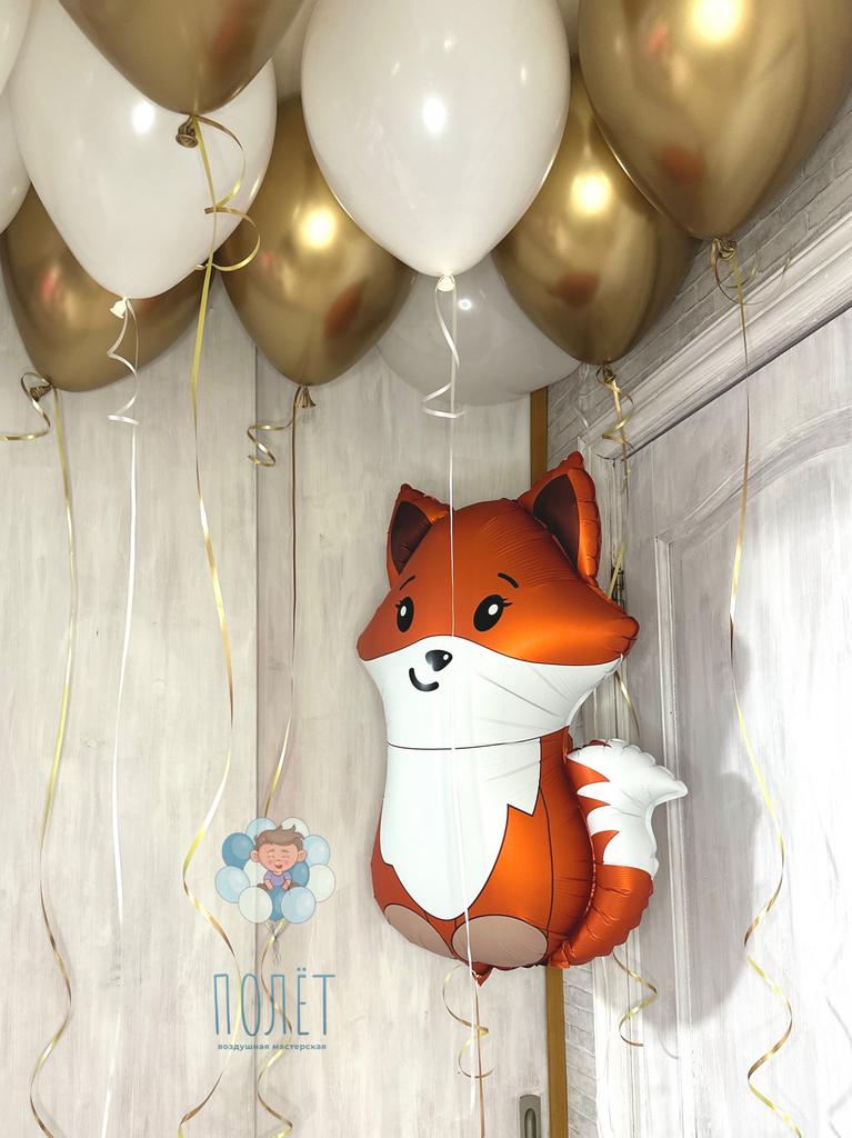 Сет Лисичка