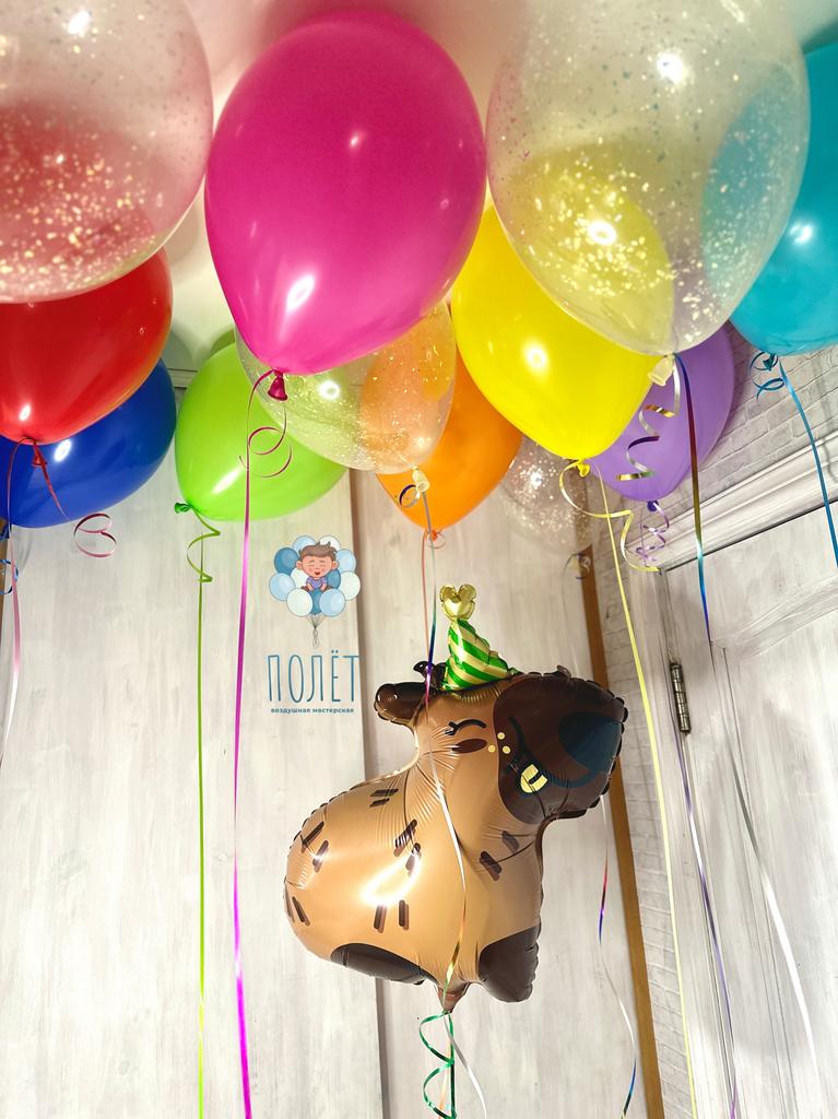 Сет Капибарно