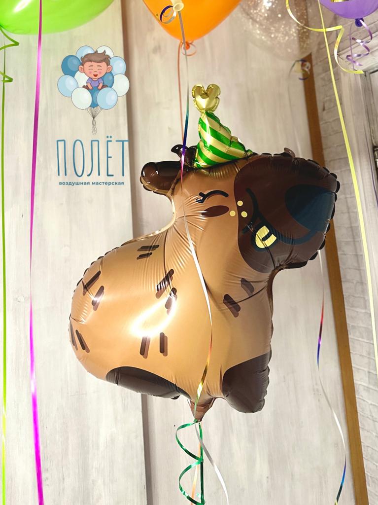 Шар капибара