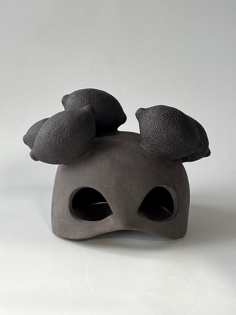 Проект НЕДЕЛЬКА. Шлем ВОСКРЕСЕНЬЕ