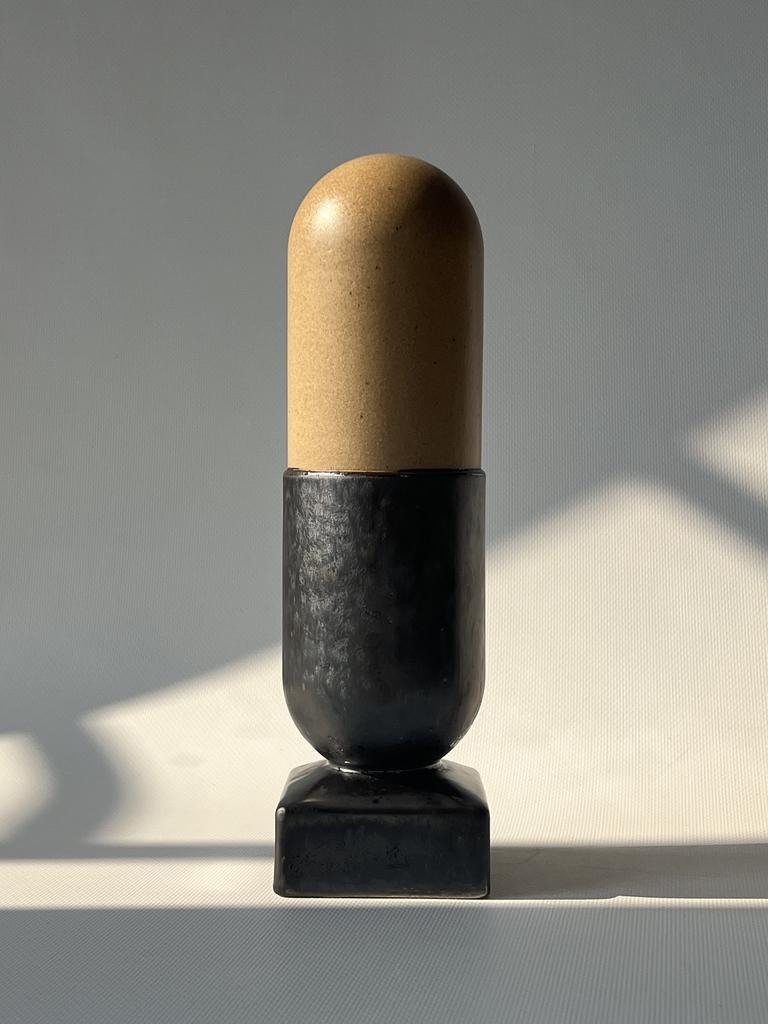 Капсула БИОХАКИНГ HIGH TECH