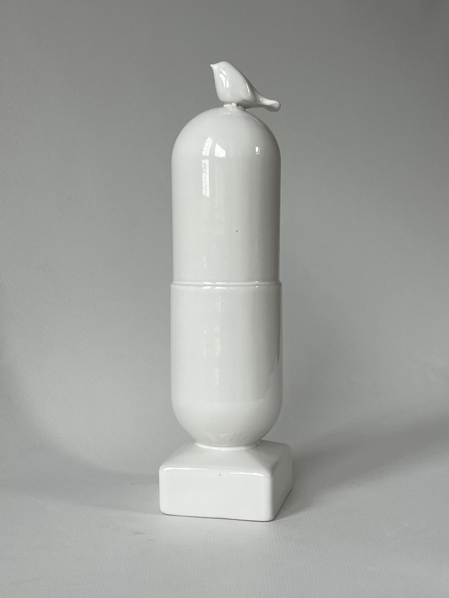 Капсула КОЛИБРИ В12