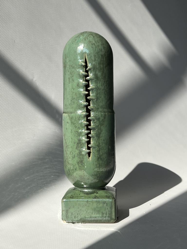 Капсула СПИРУЛИНА ЗАМОРСКАЯ