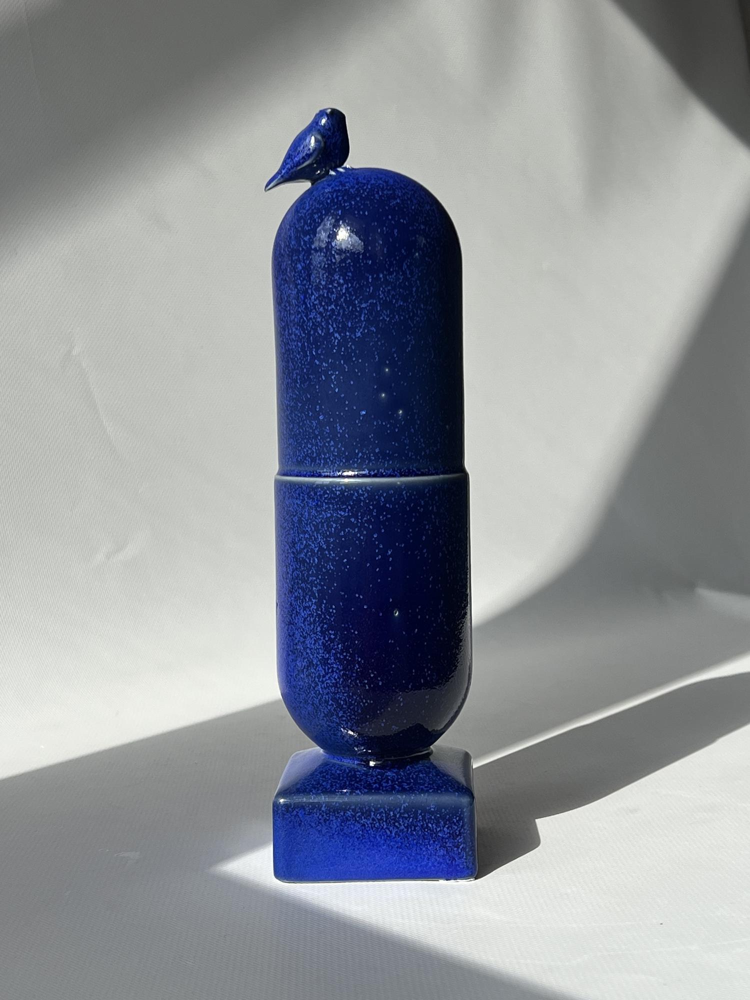 Капсула ОРНИВИТ КЛЯЙНА