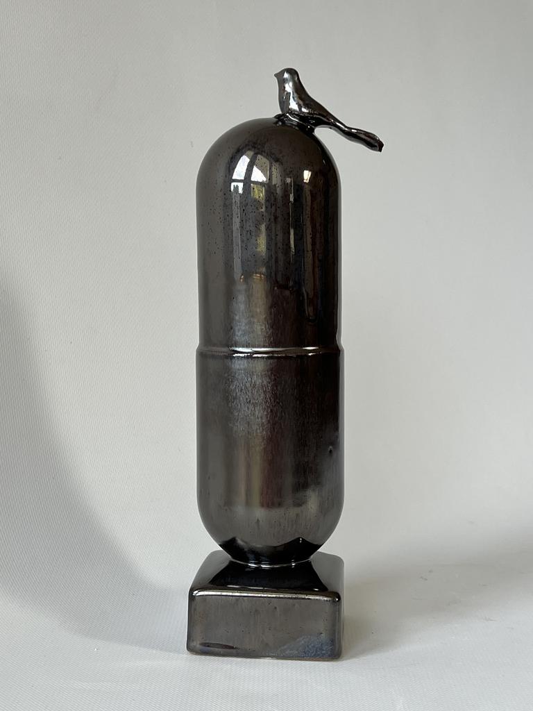 Капсула ОРНИВИТ BLACK