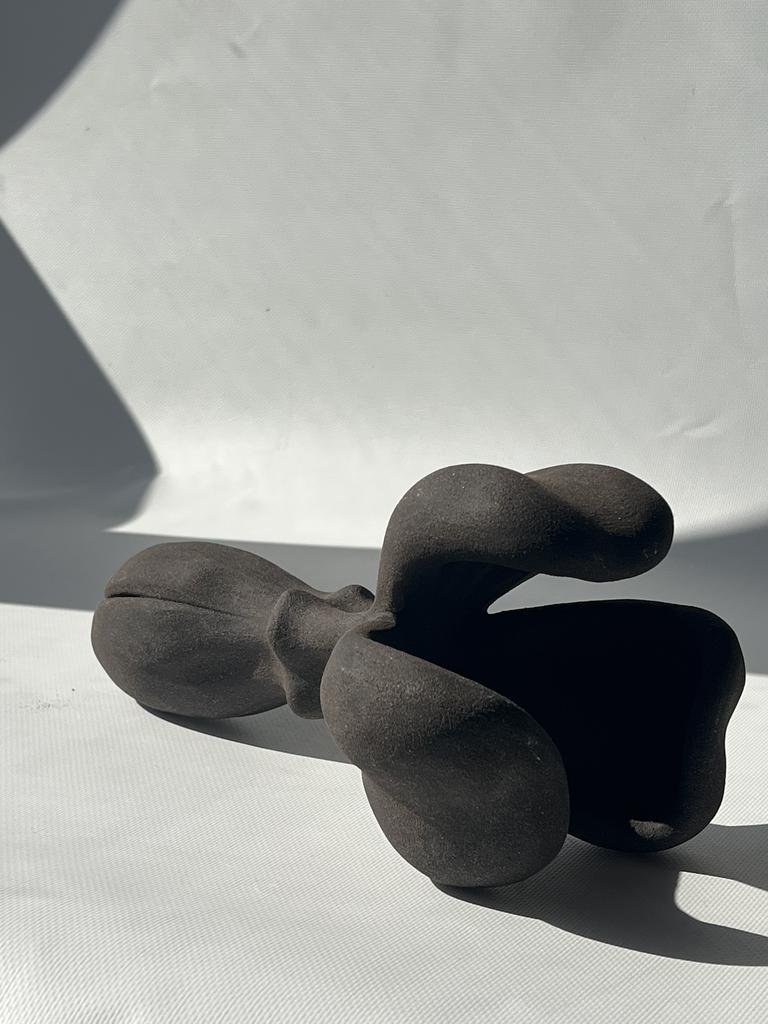 Проект ГИБРИДЫ. ЦВЕТОЧЕК