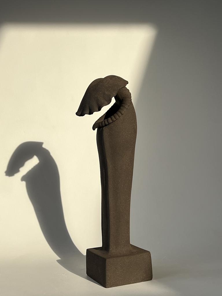 Проект СИМБИОТЫ, САРАЦЕНИЯ