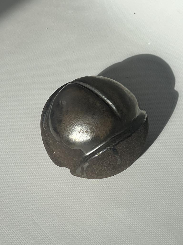 Проект СИМБИОТЫ, ЛИТОПС 2