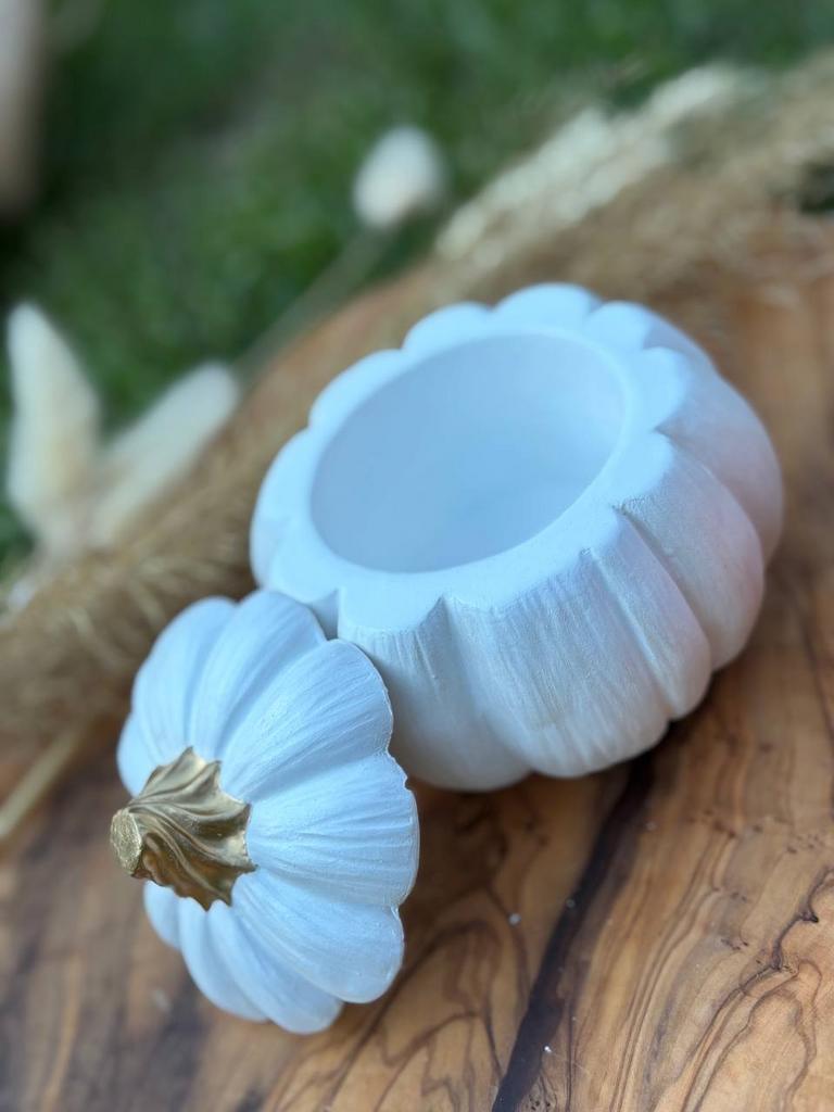 тыква малая белая