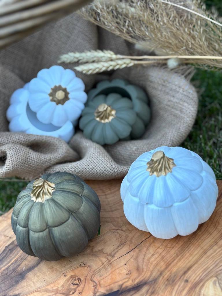 тыква малая зеленая