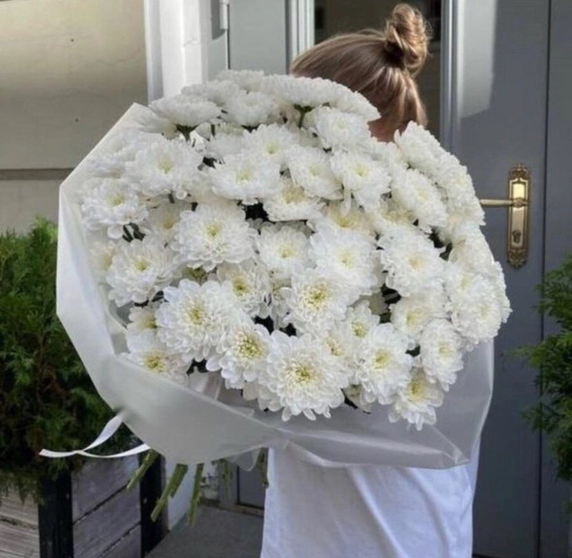 Кустовая хризантема Алтай