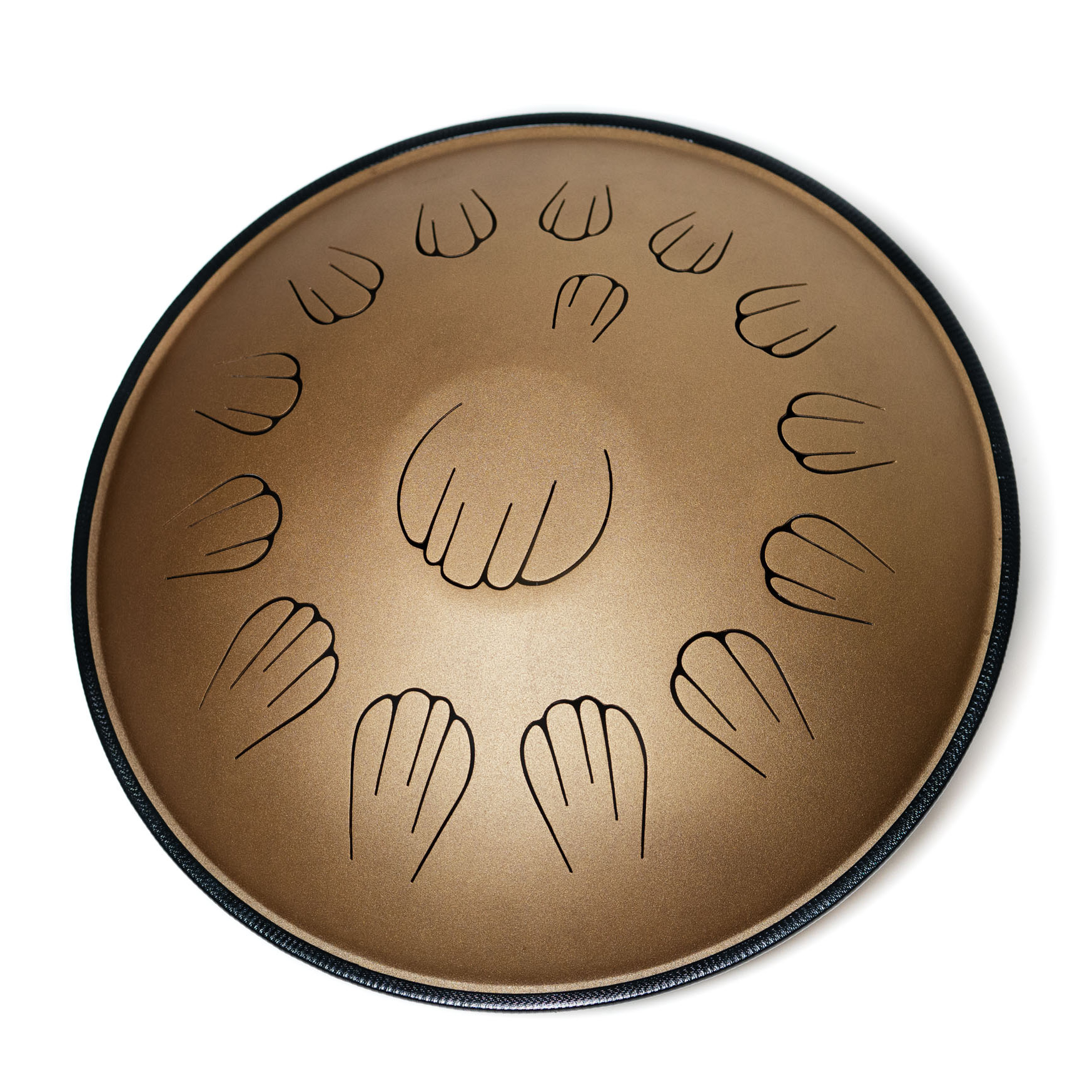 Шелтон 15 Хиджаз