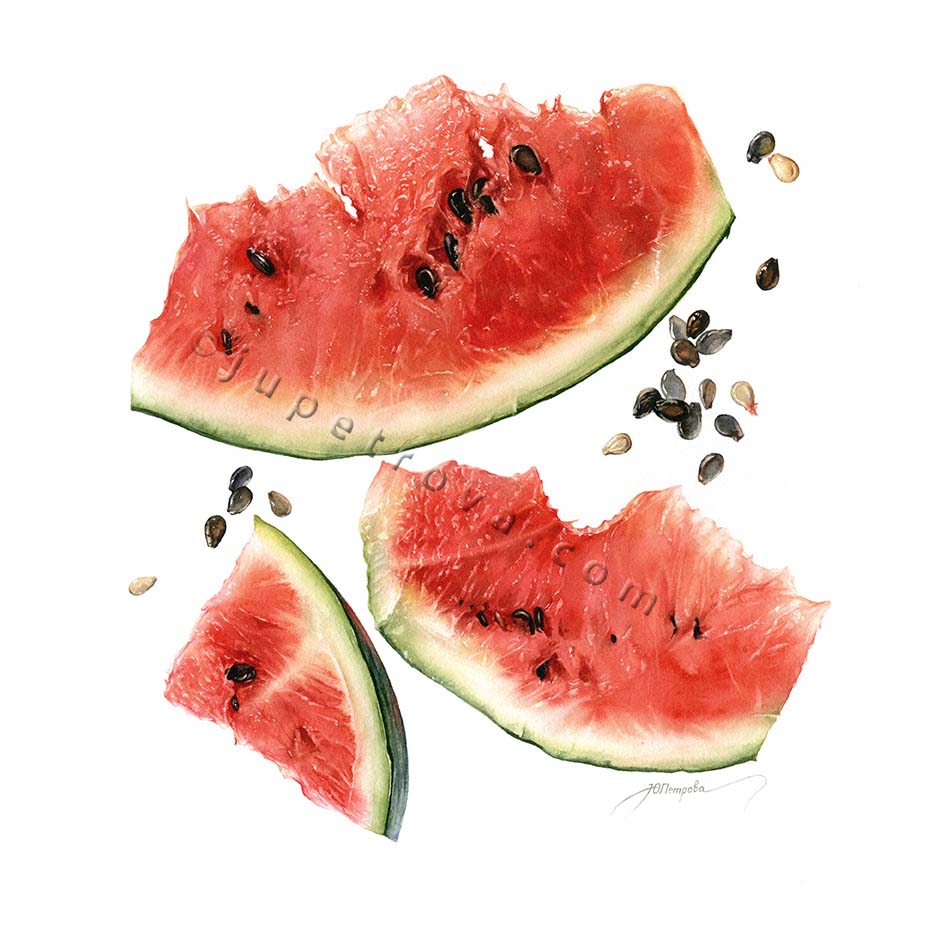 принт "SUMMER LUNCH"