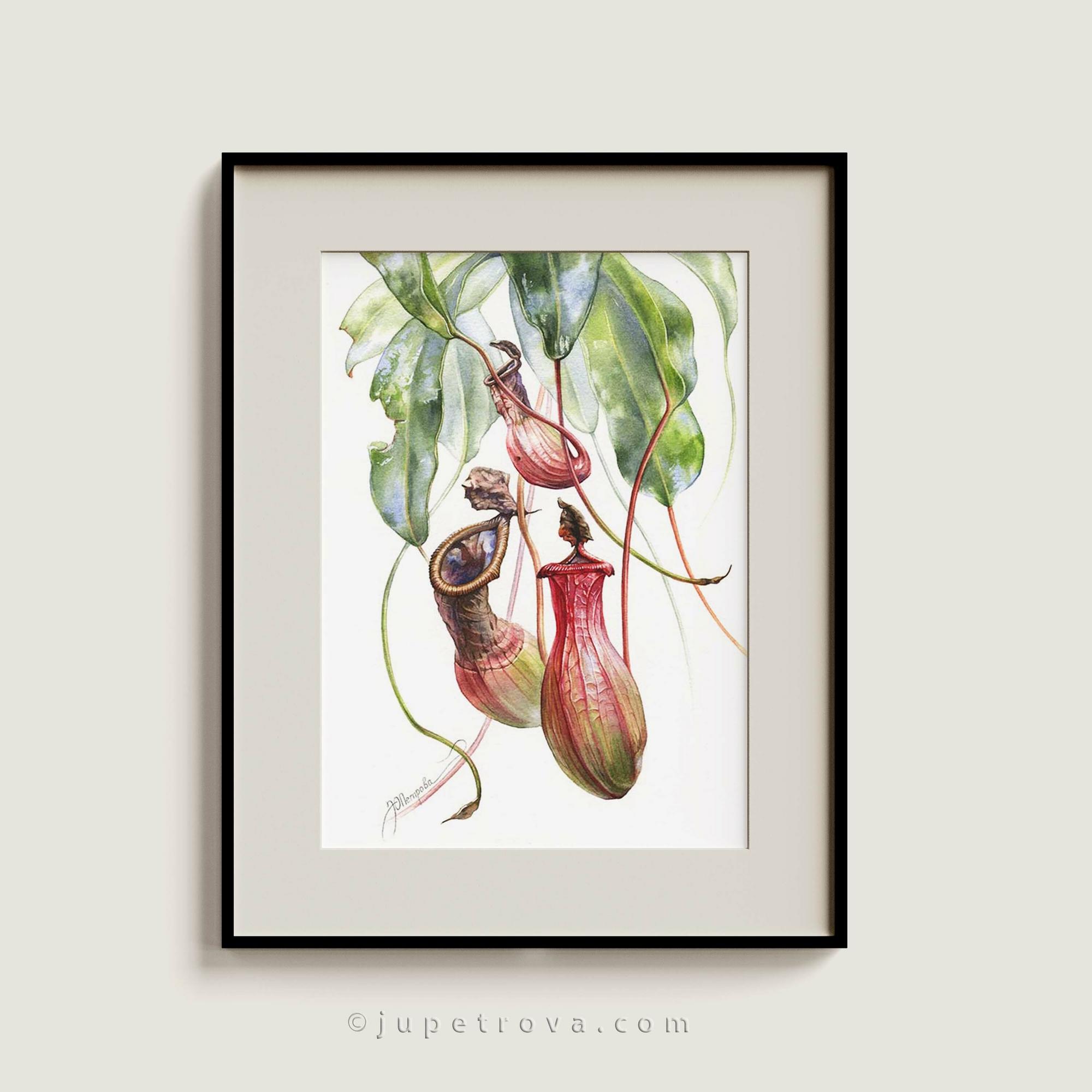 МАЛЕНЬКИЕ ХИЩНИКИ