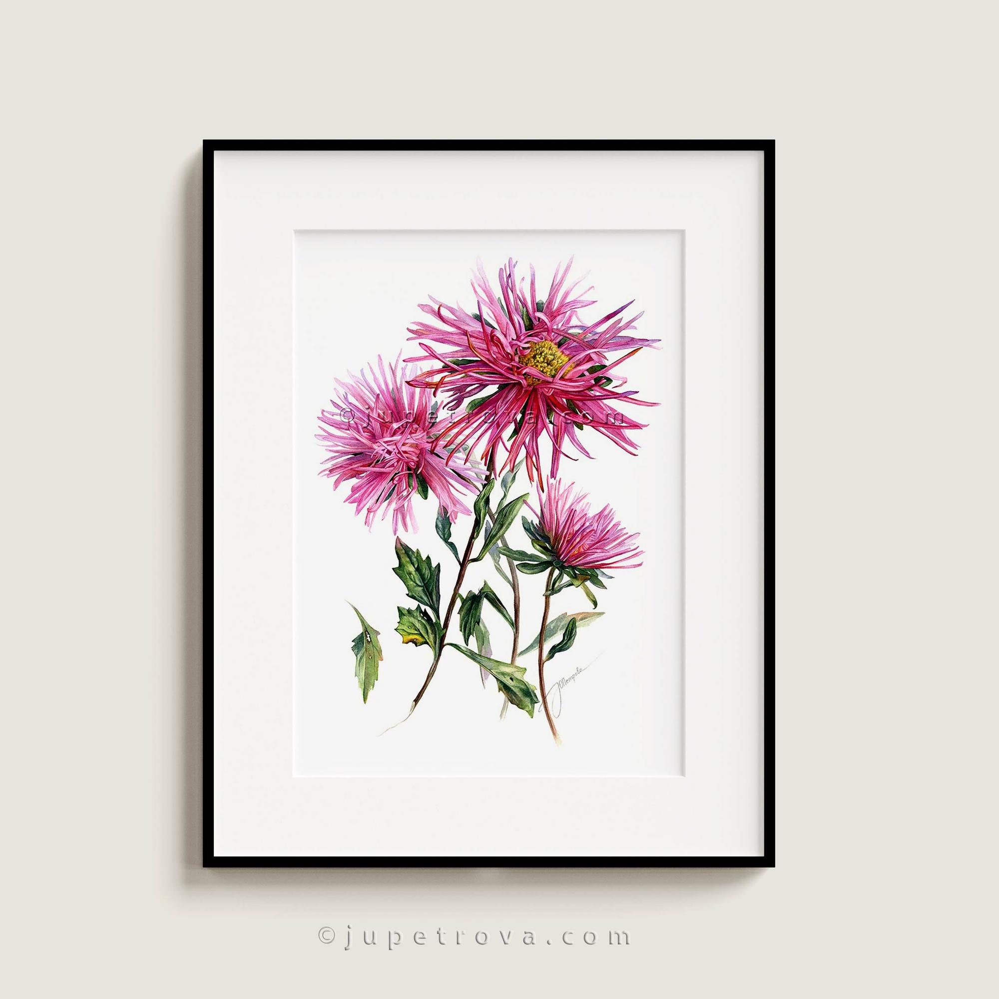 ОСЕННИЕ ЗВЕЗДЫ