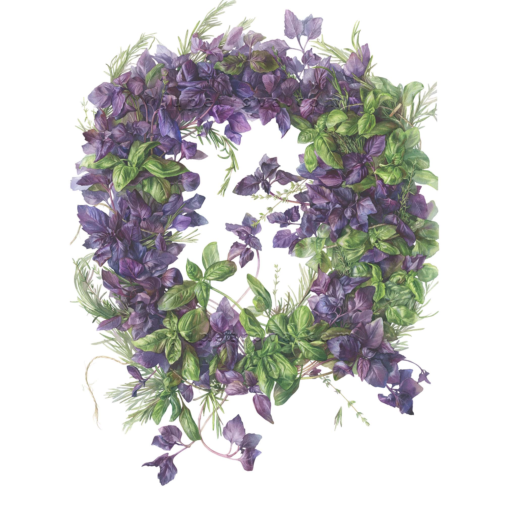 принт "Королевские травы"