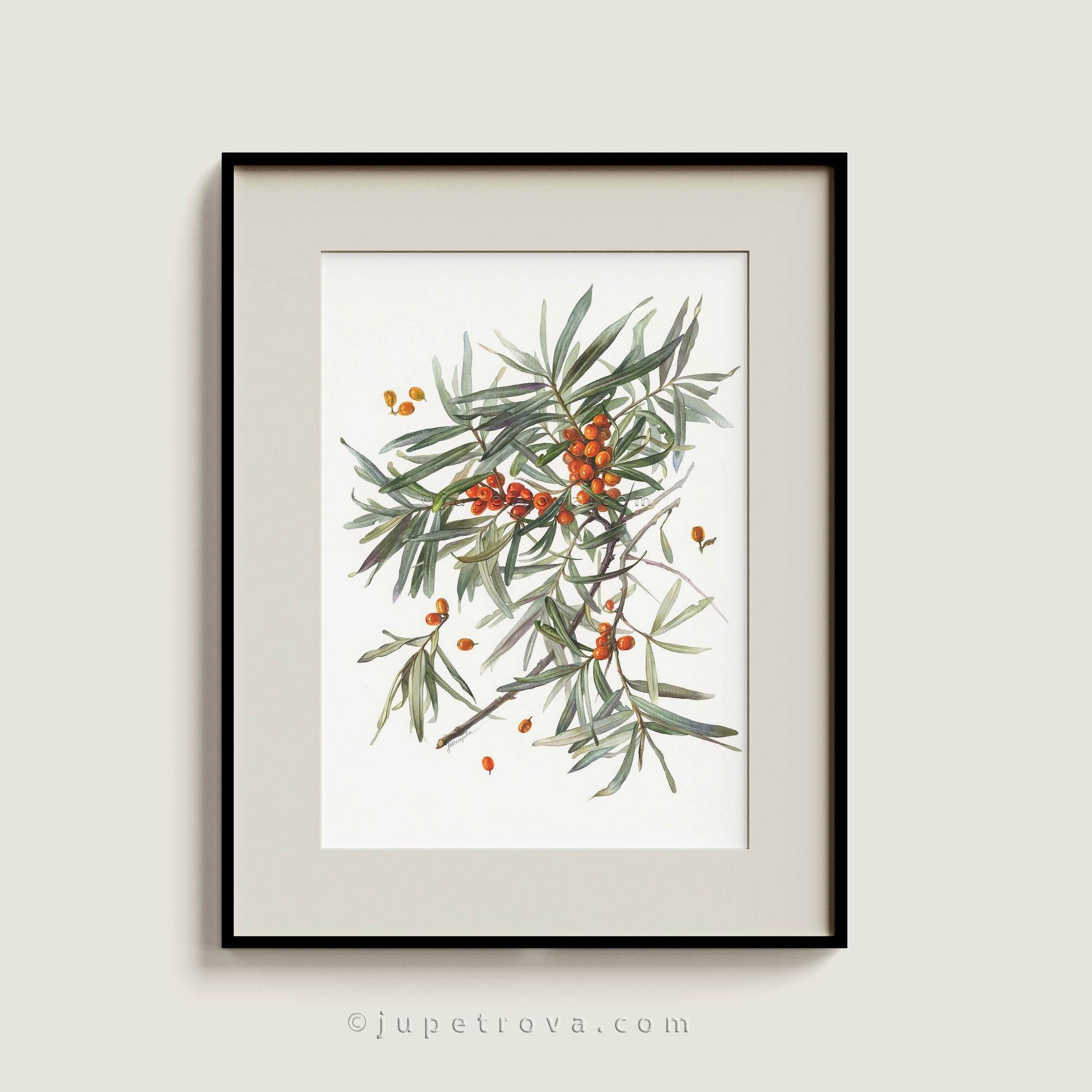 ЯНТАРНЫЕ ЯГОДЫ