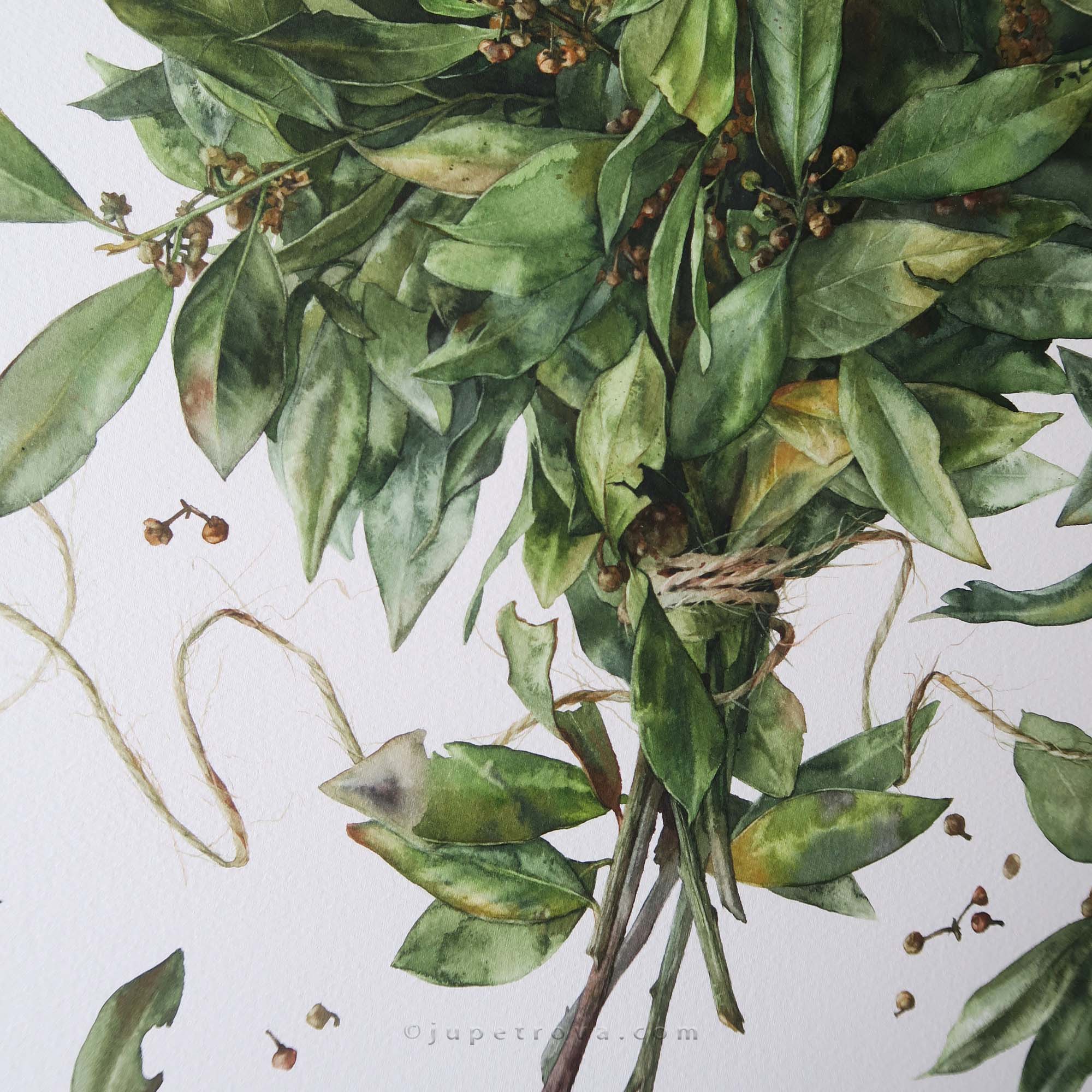 LAURUS