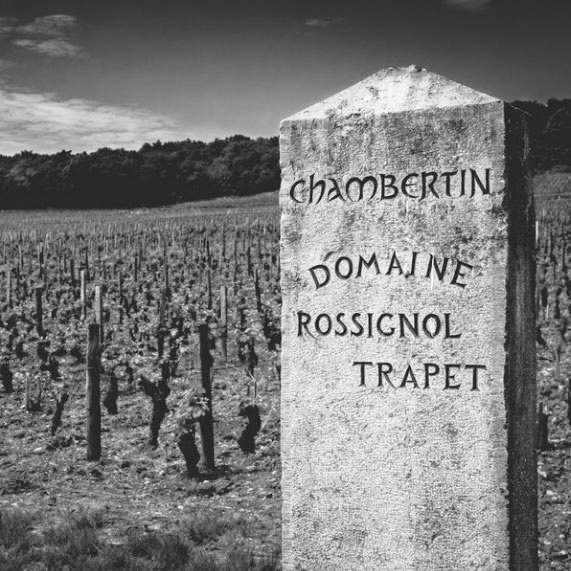 БУРГУНДСКИЕ ШЕЛКА ROSSIGNOL TRAPET 10/10/19