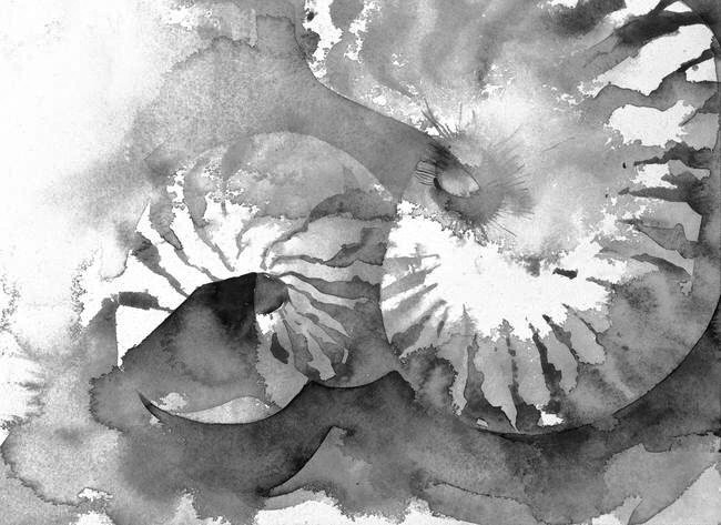 ГАСТРОНОМИЧЕСКИЙ УЖИН: ДИВНЫЙ ПЕРЛАМУТР 20/09/18