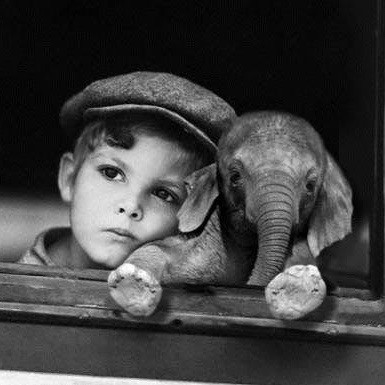 БЛАГОТВОРИТЕЛЬНЫЙ БРАНЧ «ВООБРАЖАЕМЫЙ ДРУГ» 03/06/18