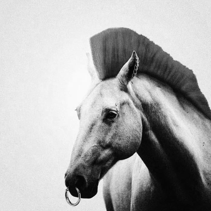 СТЕПЕНИ ДИНАМИКИ 26/04/18