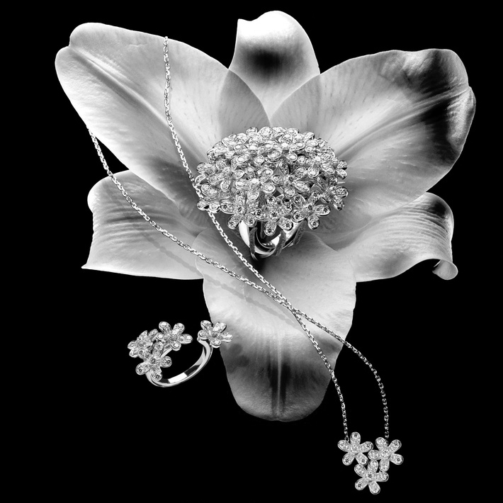 HAUTE COUTURE. VAN CLEEF & ARPELS: ВЕЧНЫЕ ЦЕННОСТИ 17/12/17