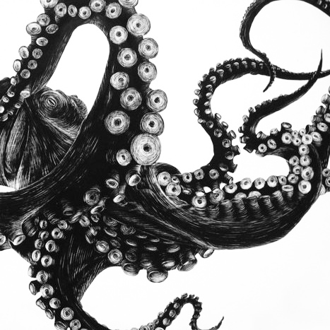 ГАСТРОНОМИЧЕСКИЙ УЖИН «ОКТОПУС В ФОКУСЕ» 17/08/17